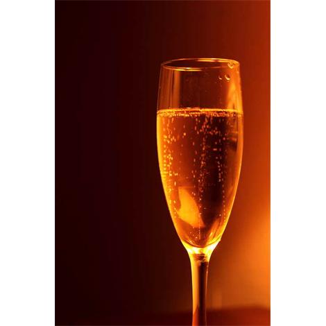 Bebida, copa de champagne