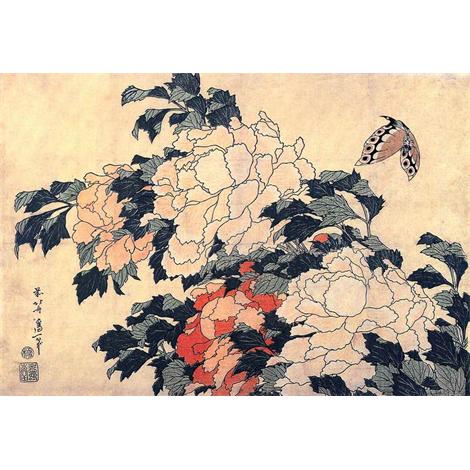 Poenies y la mariposa