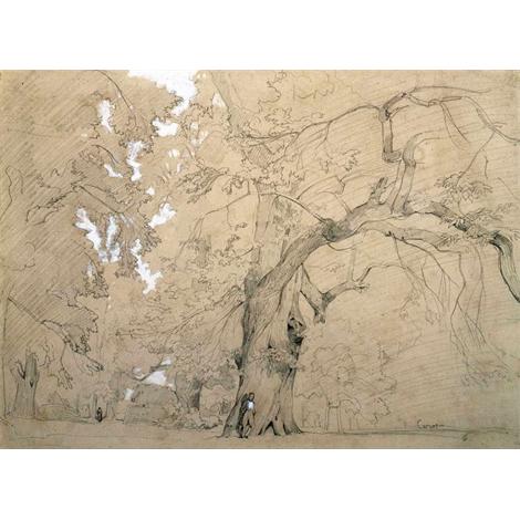 Hombre joven en frente de una gran encina