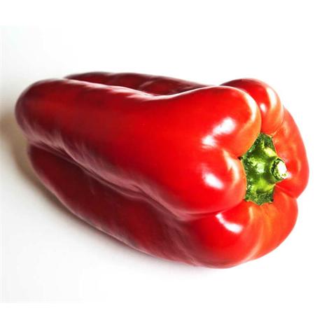Alimento, pimiento