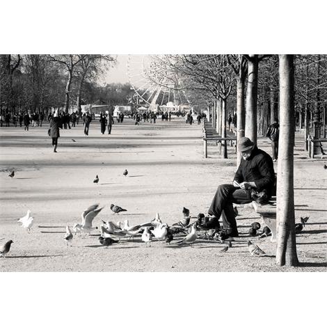París Jardín des Tuileries