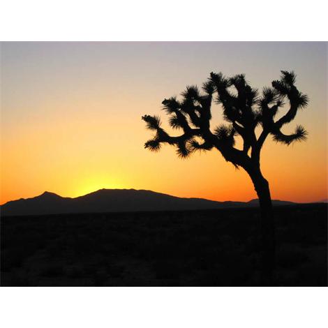 Puesta de sol en el desierto