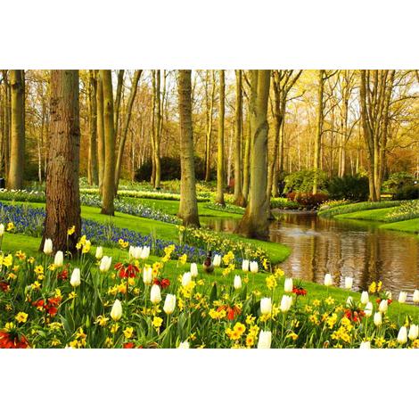 Jardín Keukenhof de Amsterdam