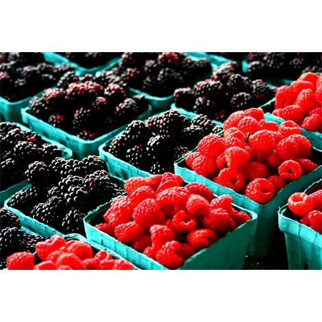 Fruta, moras en cajitas