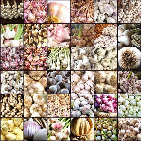 Alimento, ajos varios