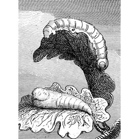 Para niños. Las puertas del paraíso, placa 1, Frontispicio