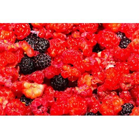 Fruta, frambuesas