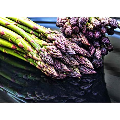 Alimento, espárragos reflejados