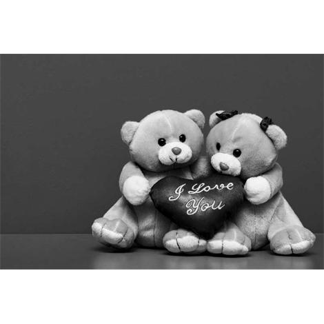 Ositos amorosos blanco y negro