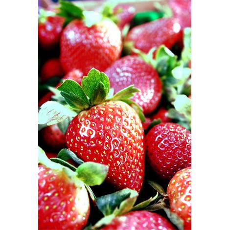 Fruta, fresas