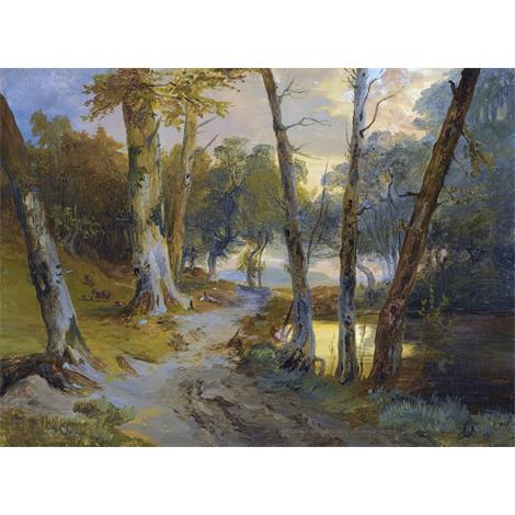 Interior del bosque con estanque