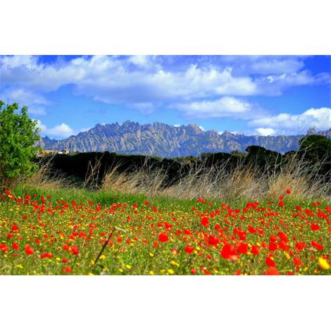 Cataluña vista de Montserrat