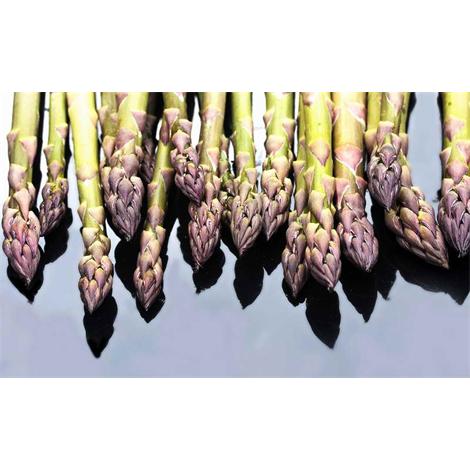 Alimento, espárragos reflejo