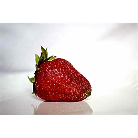 Fruta, fresa fondo blanco