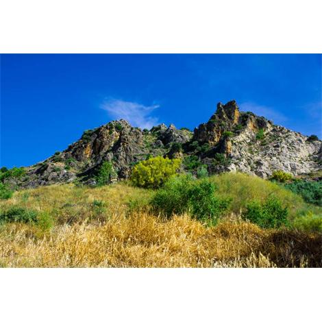 Verde y ocre bajo cima rocosa