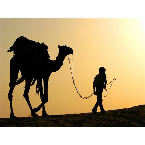 Silueta hombre y camello caminando por el desierto