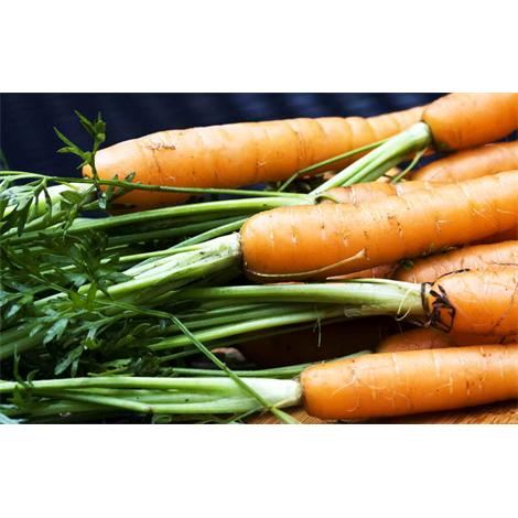 Alimento, zanahorias