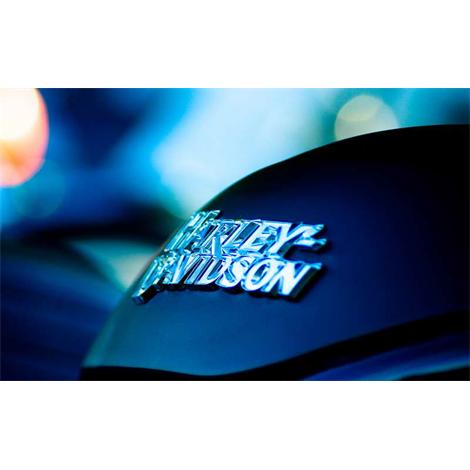 Harley Davidson