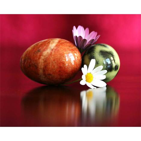 Alimento, huevos y flor