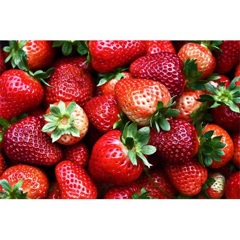 Fruta, crisol de fresas