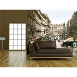 The Graben, Viena 1895