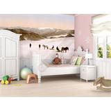 Glacial noruego 1897