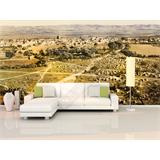 Tierra Santa en 1895