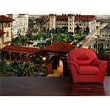 Alcazar de S. Agustín, florida 1898