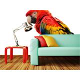 Fotomural  Loro sobre blanco